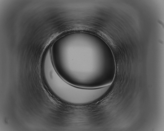 X0000091970436200709061135