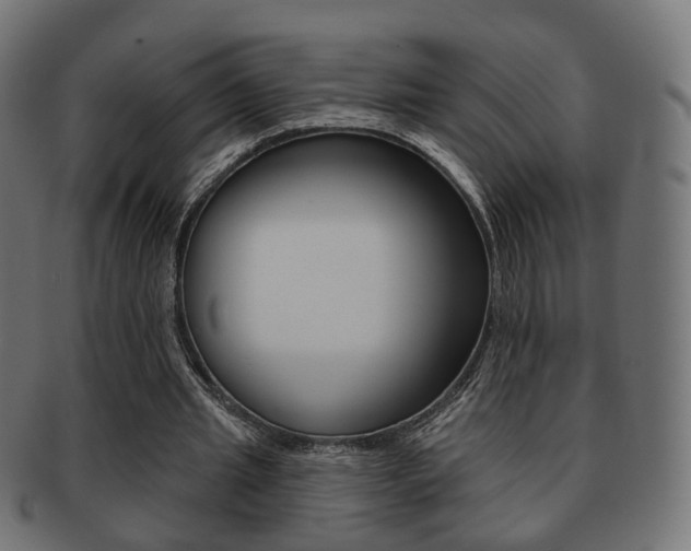 X0000091970437200709061135