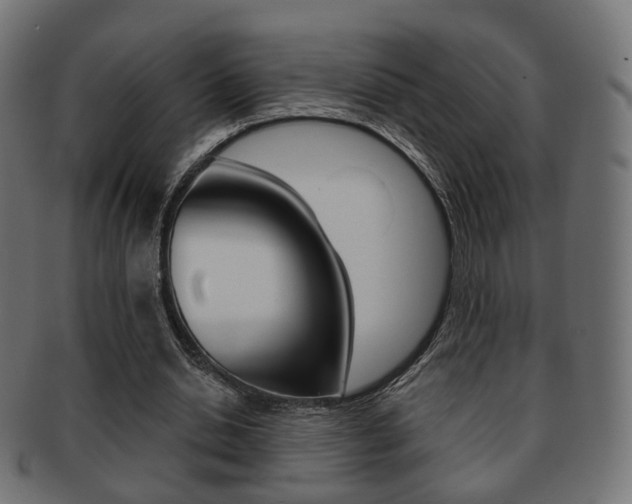 X0000091970438200709061135