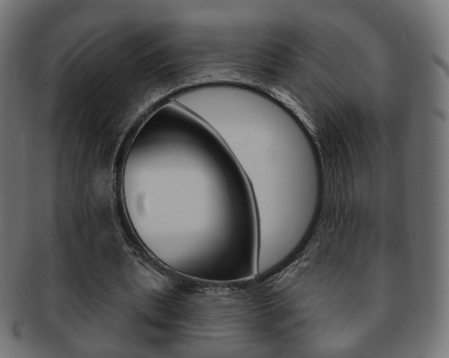 X0000091970439200709061135