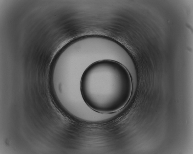 X0000091970440200709061135