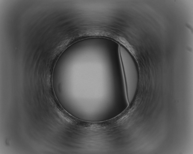 X0000091970441200709061135