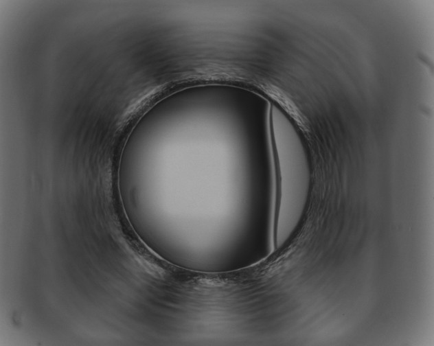 X0000091970442200709061135