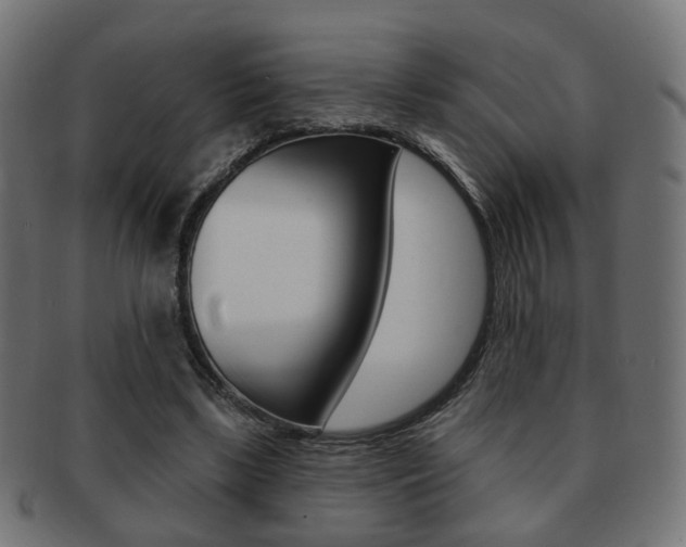 X0000091970443200709061135