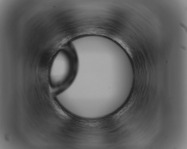 X0000091970445200709061135