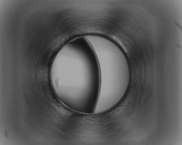X0000091970447200709061135