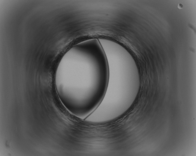 X0000091970448200709061135
