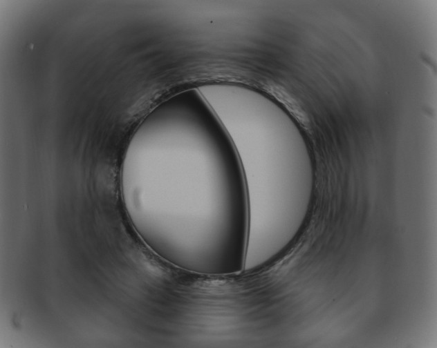 X0000091970449200709061135