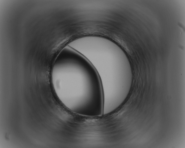 X0000091970450200709061135