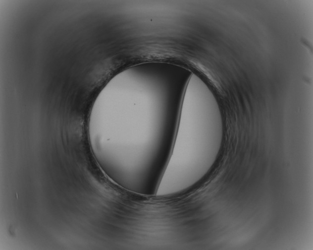 X0000091970451200709061135