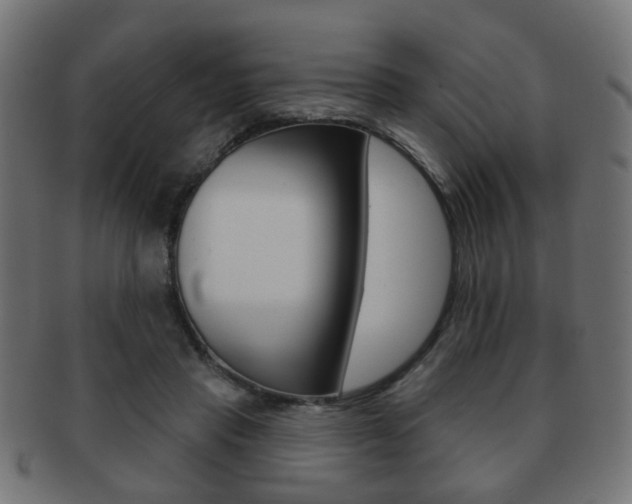 X0000091970453200709061135