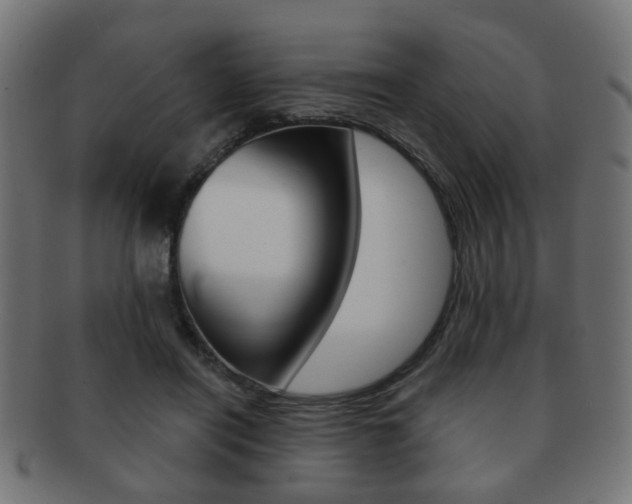 X0000091970454200709061135