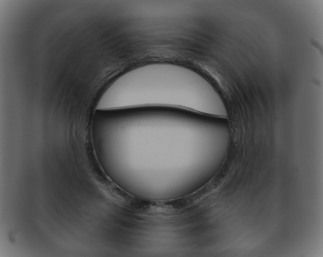 X0000091970455200709061135