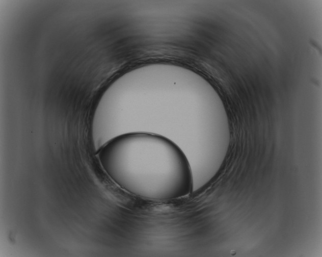 X0000091970456200709061135