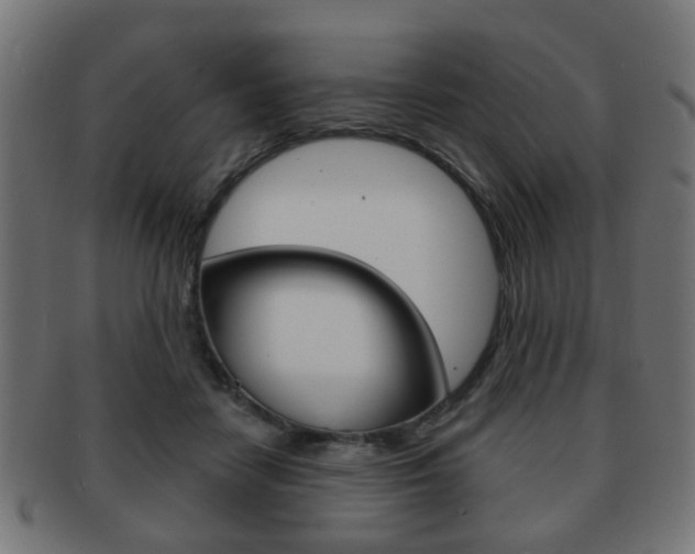 X0000091970458200709061135