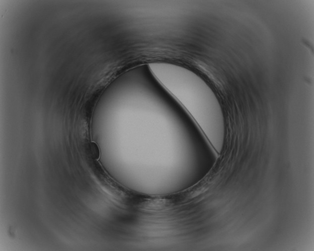 X0000091970459200709061135