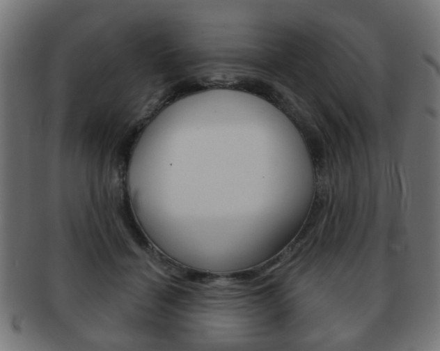 X0000091970460200709061135