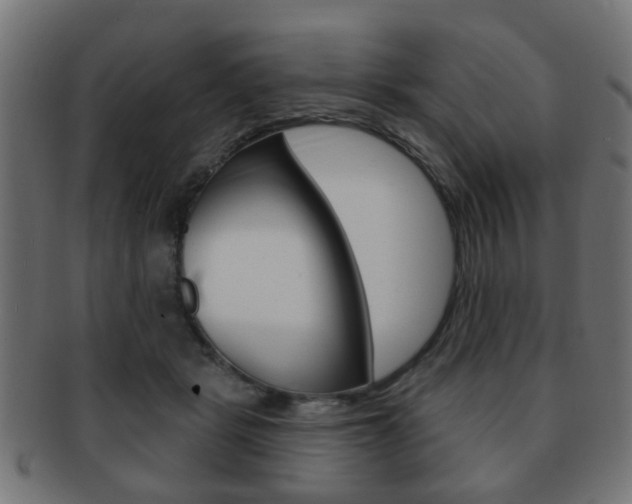 X0000091970461200709061135