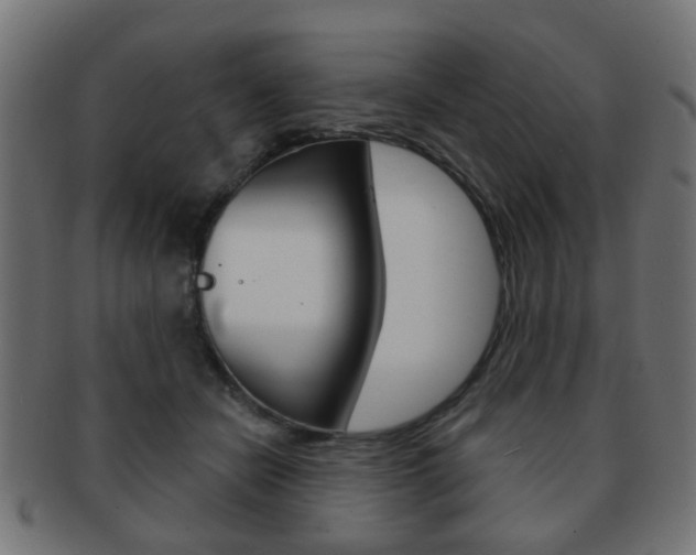 X0000091970462200709061135