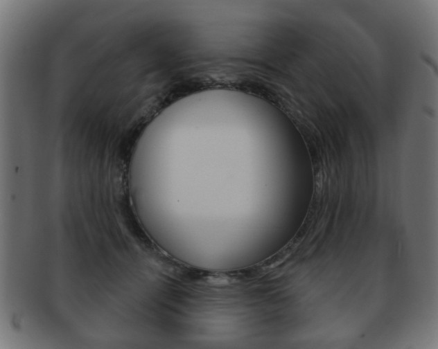 X0000091970464200709061136