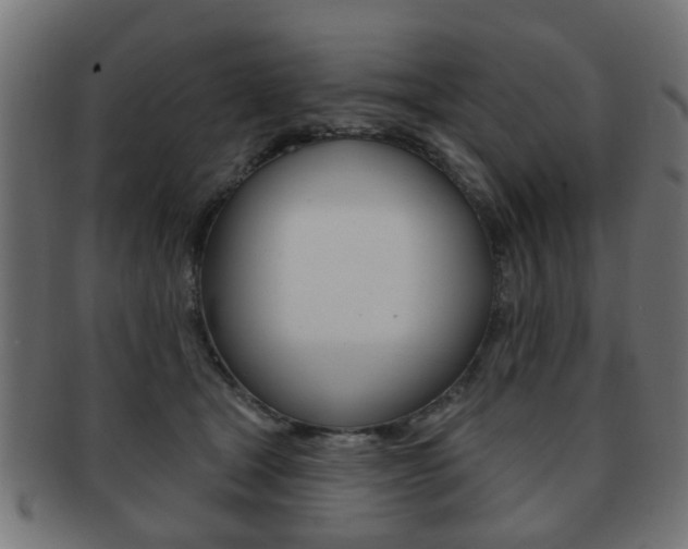 X0000091970465200709061136