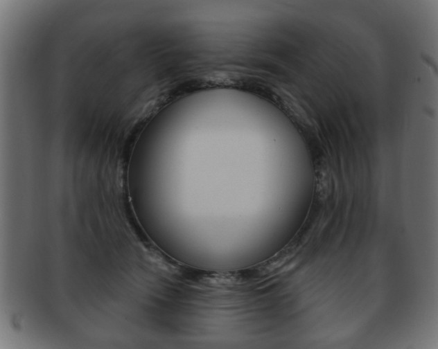 X0000091970466200709061136