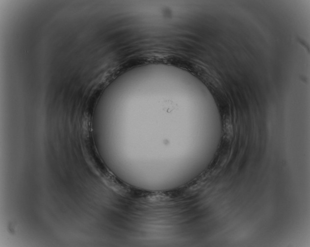 X0000091970468200709061136