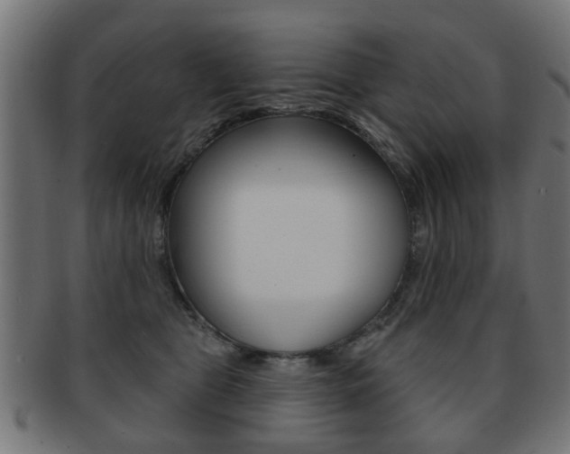 X0000091970469200709061136