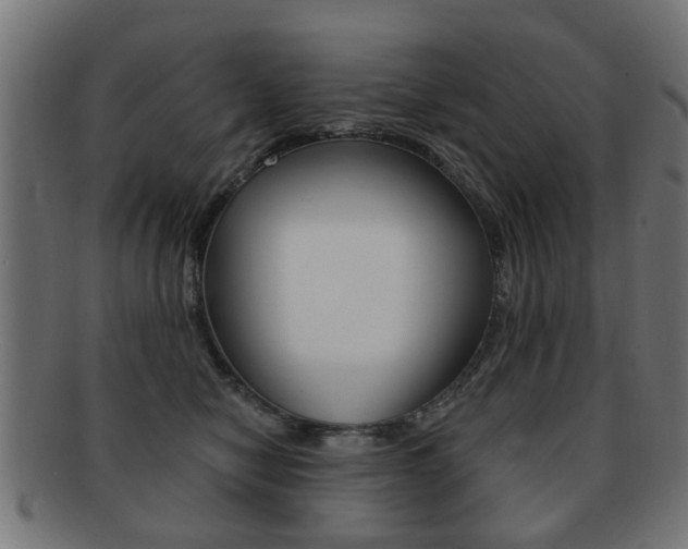 X0000091970470200709061136
