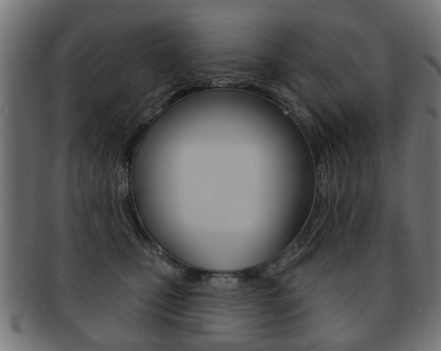 X0000091970471200709061136