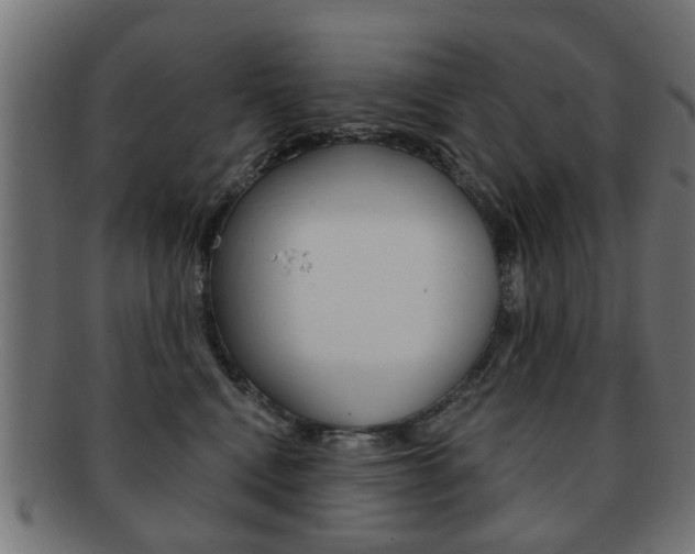 X0000091970472200709061136