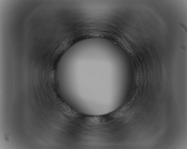 X0000091970473200709061136