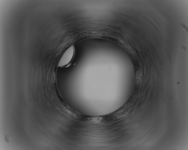 X0000091970474200709061136