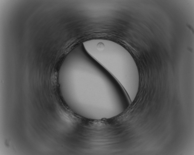 X0000091970475200709061136