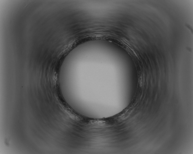 X0000091970476200709061136