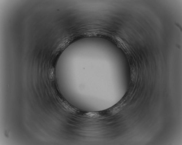 X0000091970477200709061136