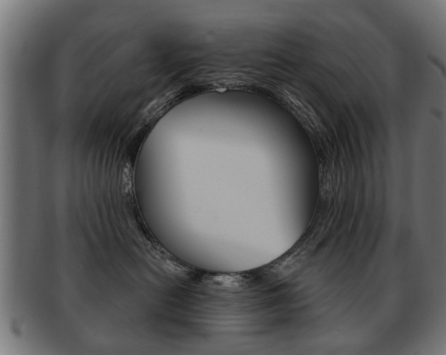 X0000091970478200709061136