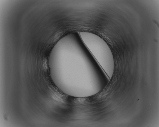 X0000091970479200709061136
