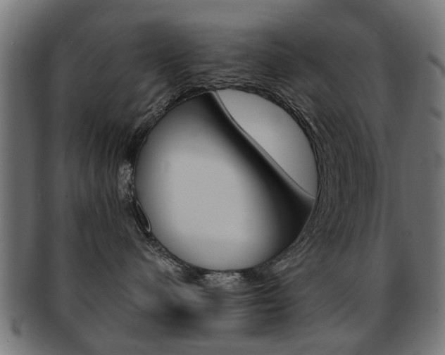 X0000091970480200709061136