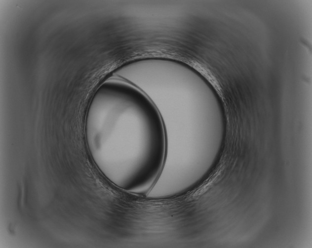 X0000091970481200709061135