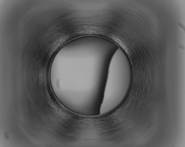 X0000091970482200709061135