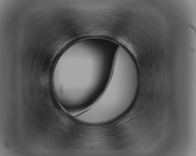 X0000091970483200709061135