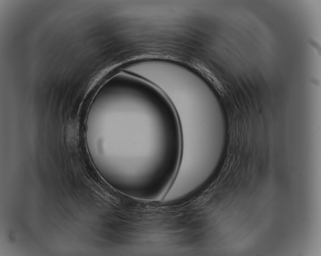 X0000091970484200709061135