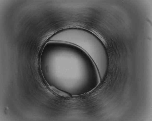 X0000091970485200709061135