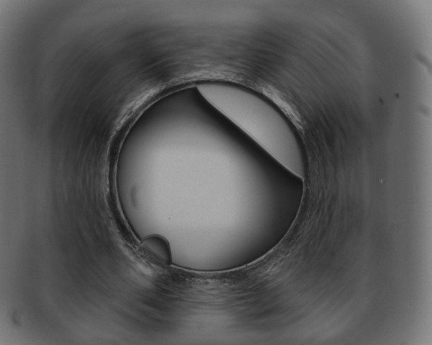 X0000091970486200709061135