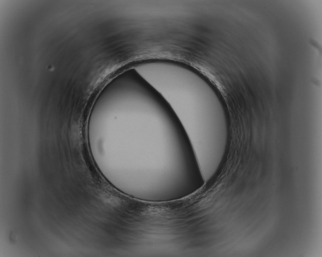 X0000091970487200709061135