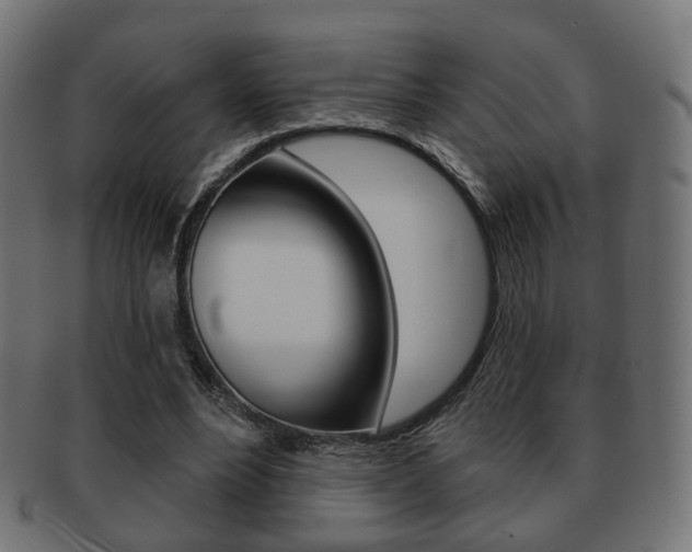 X0000091970488200709061135