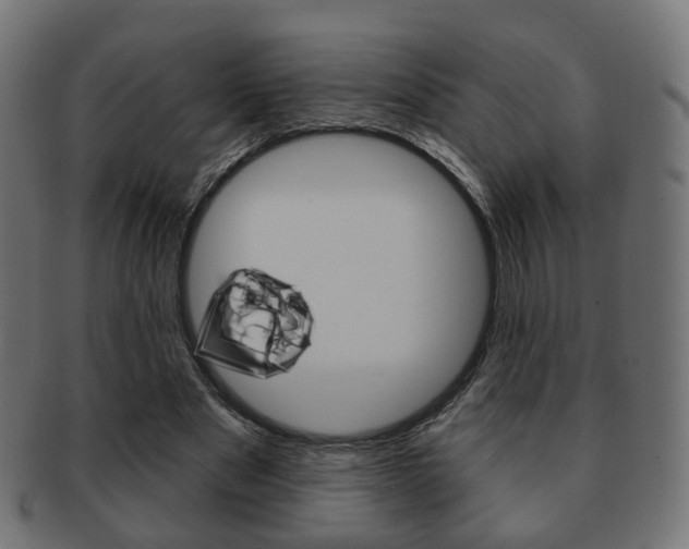 X0000091970489200709061135