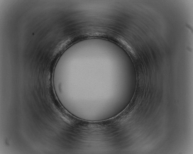 X0000091970490200709061135
