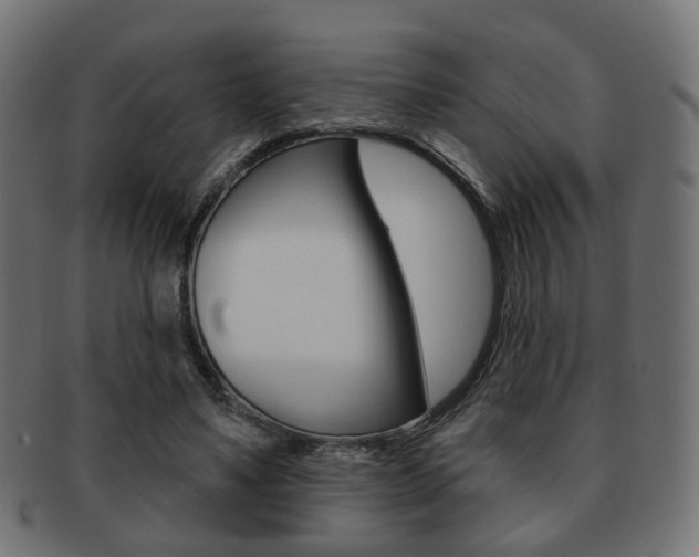 X0000091970491200709061135